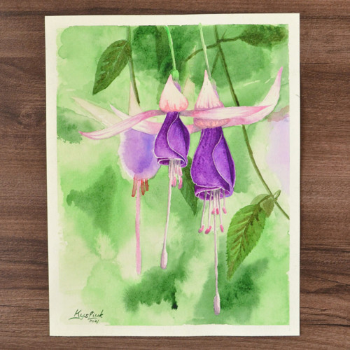 Fuchsie