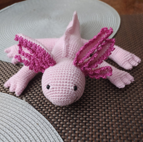 Axolotl — foto 1