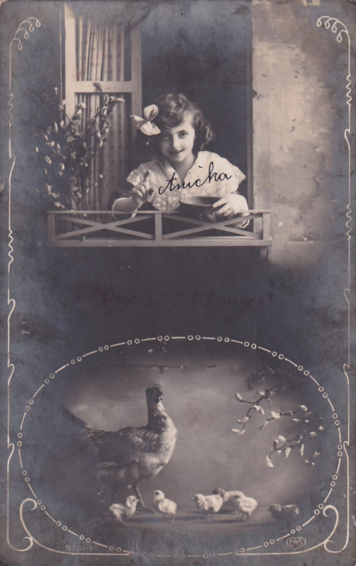 Pohlednice dívka a kuřátka — foto 1