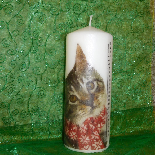 Adventní svíčka s kočičkou
