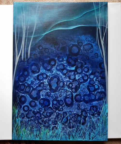 "Aurora borealis"