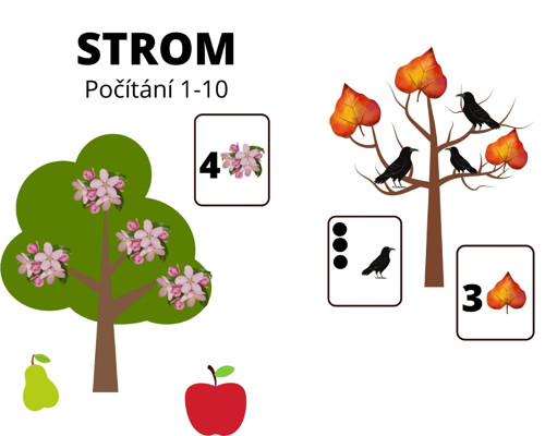 Strom na celý rok — foto 1