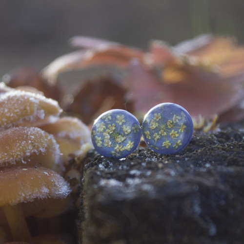 Náušnice divodá mrkev 1,2 cm - chir. ocel — foto 1