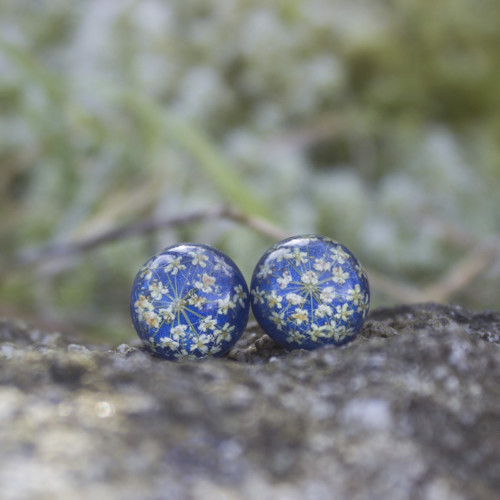 Náušnice divodá mrkev 1,2 cm - chir. ocel — foto 1
