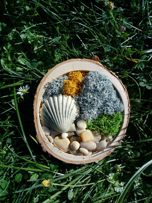 Mechový obraz - Moře — foto 1