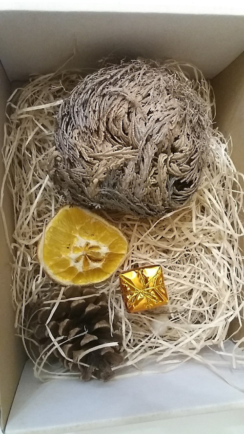 Originální DÁREK _flower box