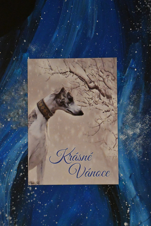 Pohlednice zimní whippet — foto 1