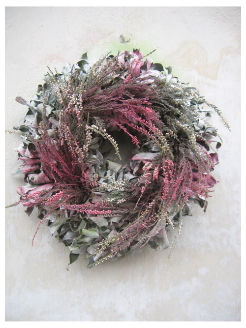 Calluna vulgaris..III..... — foto 1