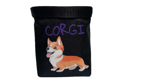 Pamlskovník Corgi — foto 1