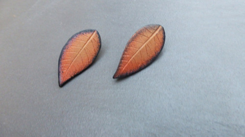 Puzety listy — foto 1