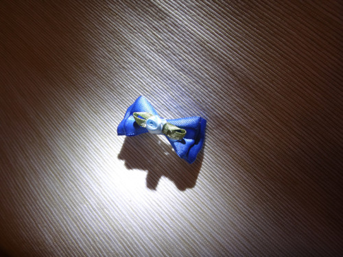 Mašlička na sponce — foto 1