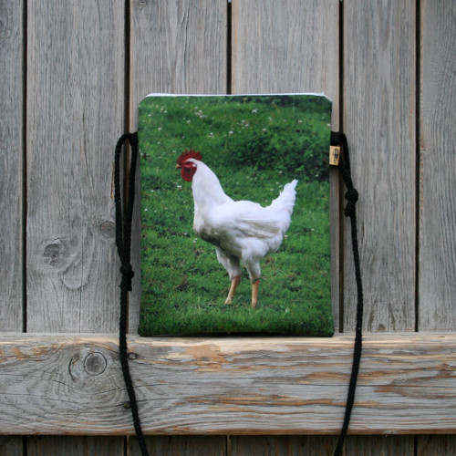 MIDI MESSENGER Bílá slepička — foto 1