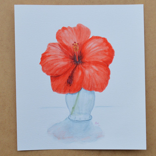 Originál, akvarel - ibišek - 23 x 21 cm