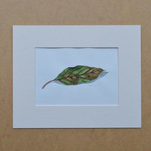 Originál, akvarel-Usychání-s paspartou -25x20 cm