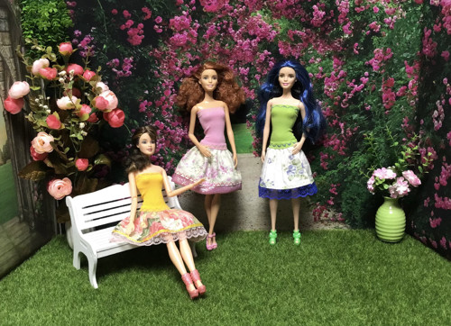 Kolekce - “My beautiful rose garden”