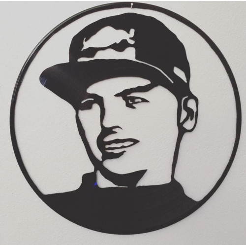 Max Verstapen portret