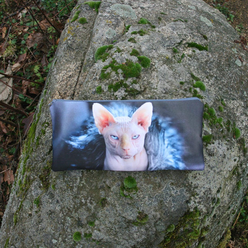 PENÁL Zamračený sphynx — foto 1
