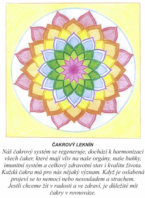 Čakrový leknín-kartičky 10x13 — foto 1