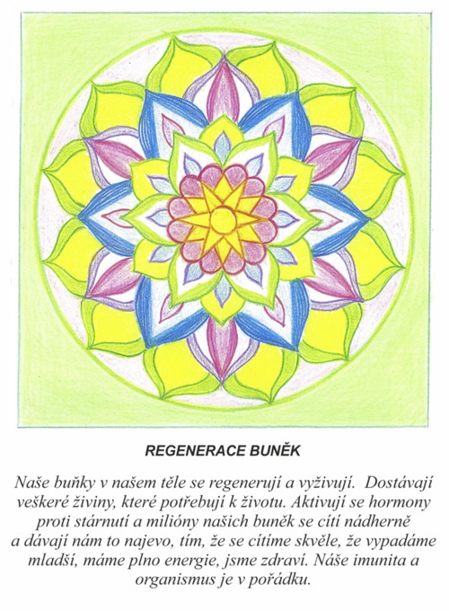 Regenerace buněk-kartičky 10x13