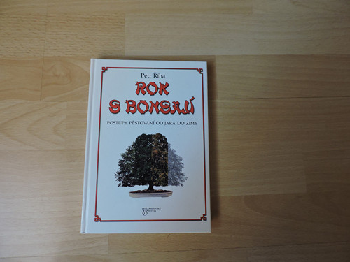 Rok s bonsají — foto 1