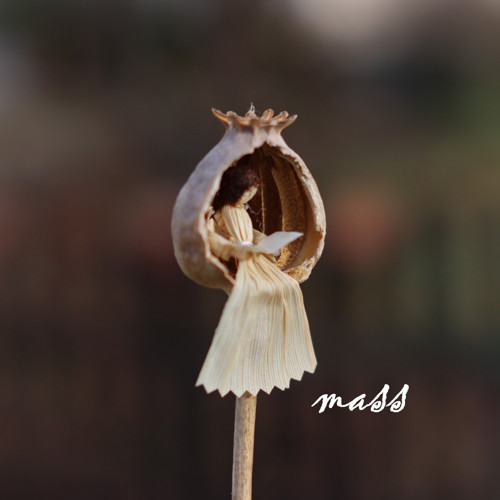 Makovníček — foto 1