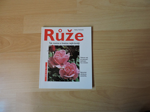 Růže — foto 1