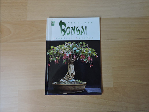 Bonsai pokojová