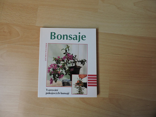 Bonsaje — foto 1