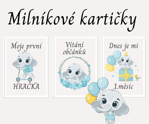 Milníkové kartičky SLON kluk