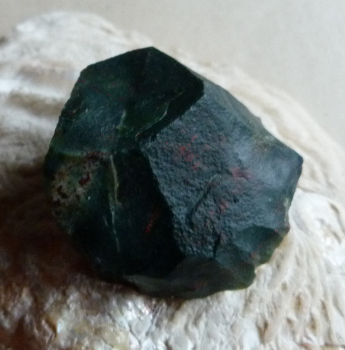 Heliotrop surový - 4,5 cm — foto 1
