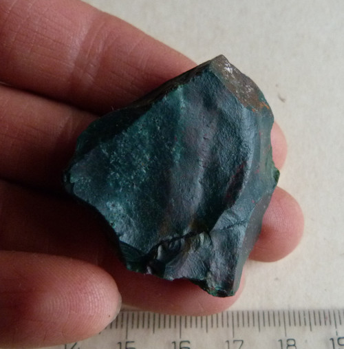 Heliotrop surový - 4,2 cm