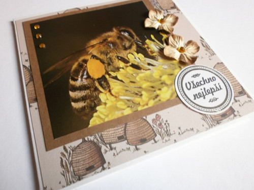Včelařské přání — foto 1