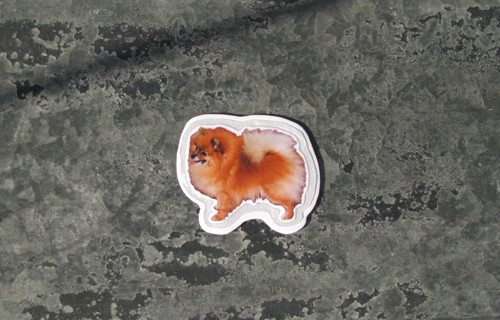 Magnetka