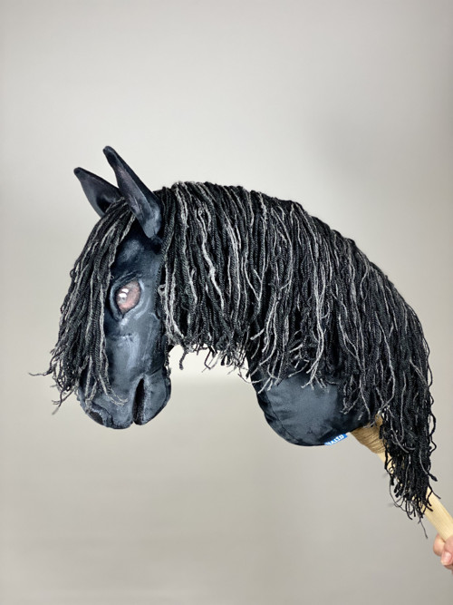 Vraník Balt - hobby horse — foto 1
