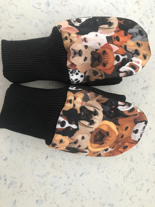 Softshellové rukavice-pejsani — foto 1