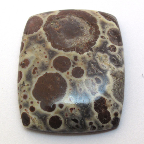Kabošon asteroid jaspis obdélník 31mm