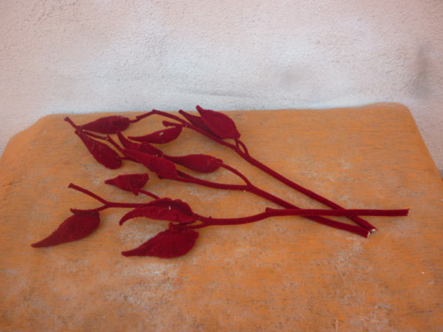 Klejcha bordo — foto 1