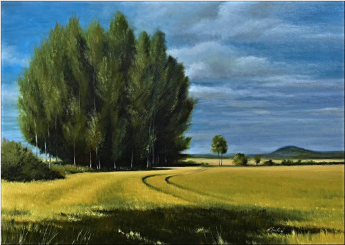 Po žních 70x50cm