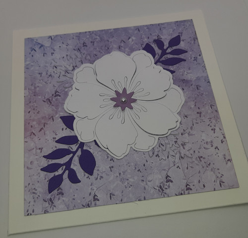 Přání Květ — foto 1