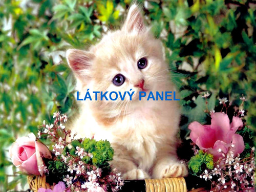 Bavlněný panel - varianty velikostí / 11x15 cm