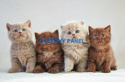 Bavlněný panel - varianty velikostí / 11x15 cm