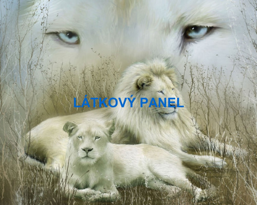 Bavlněný panel - varianty velikostí / 11x15 cm