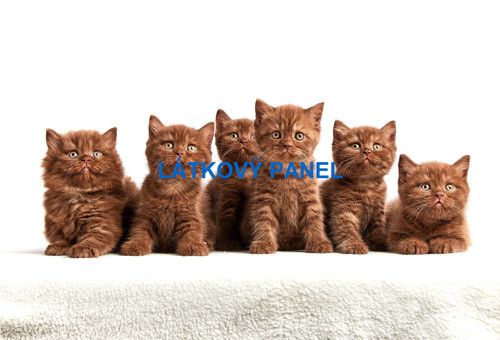 Bavlněný panel - varianty velikostí / 11x15 cm