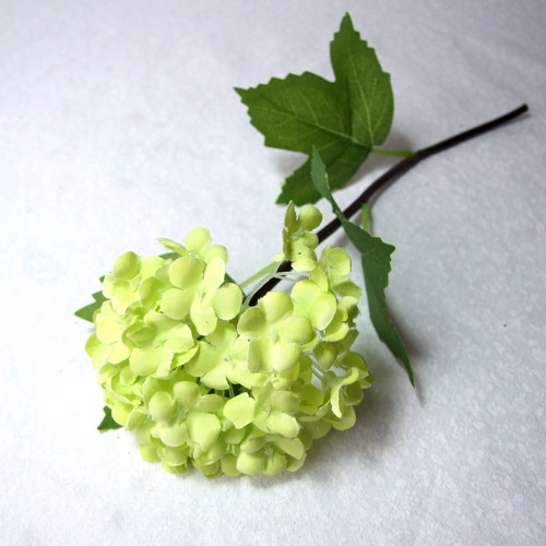 Kalina zelená 27 cm