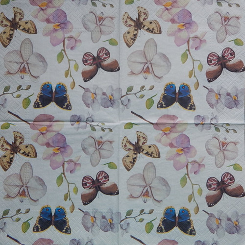 Orchideje a motýlci 3603 — foto 1