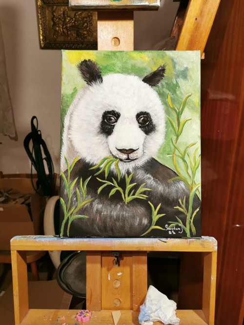 Panda