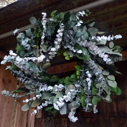 Věnec - Eucalyptus 2 — foto 1