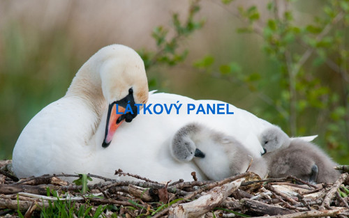 Bavlněný panel 15x25 cm- skladem — foto 1