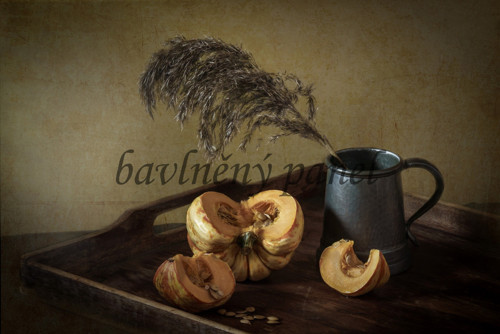Bavlněný panel ZAT 133 — foto 1
