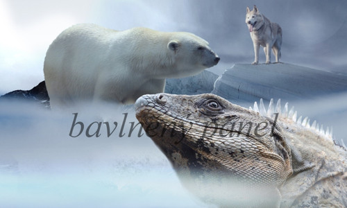 Bavlněný panel FA 70 — foto 1